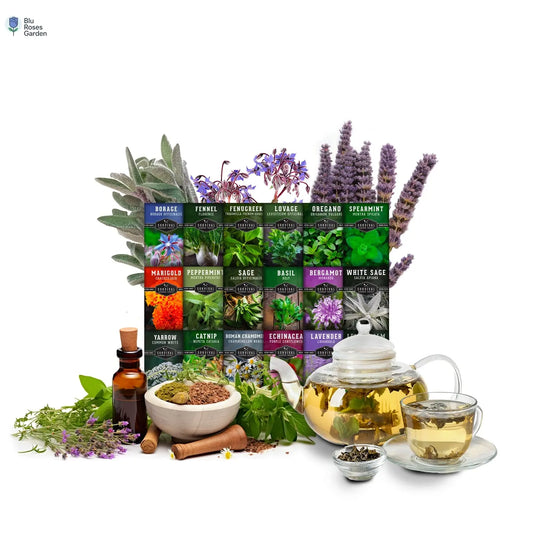 18 Pack Medicinal Herb Seed Collection - Non-Gmo Heirloom Full Sun Perennial & Annual