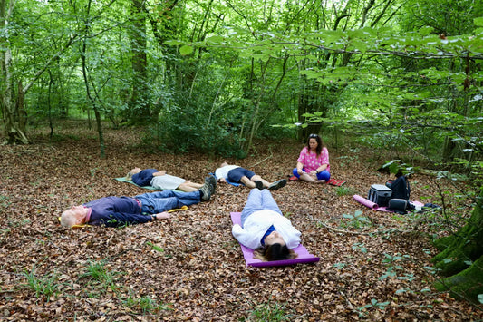 Book Now: Forest Bathing Sessions 💙 Blu Rose's Garden LLC 💙