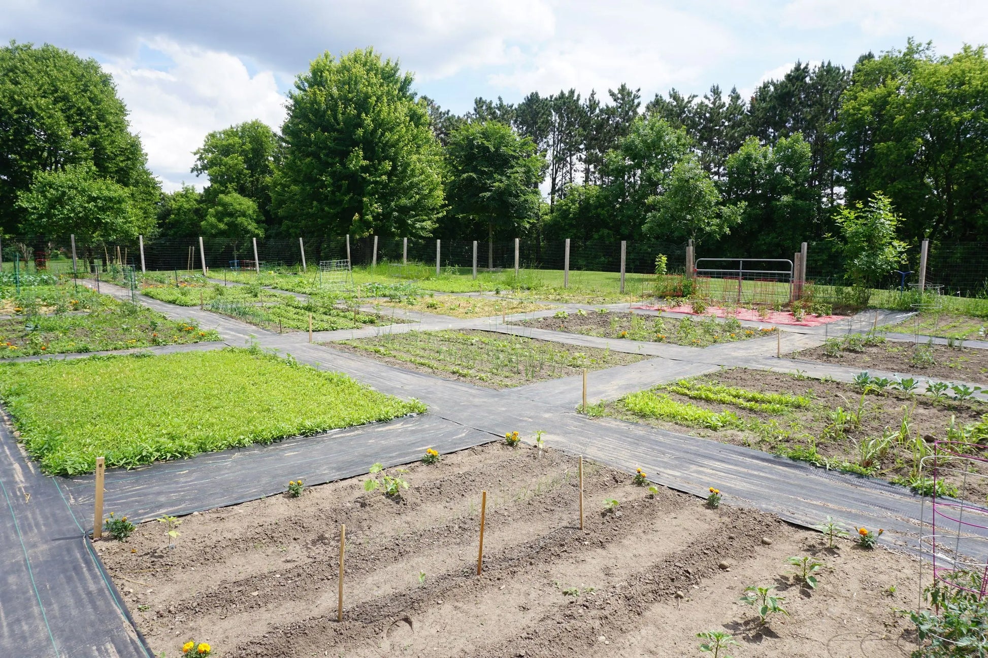Book Now: Garden Plot Rentals 💙 Blu Rose's Garden LLC 💙