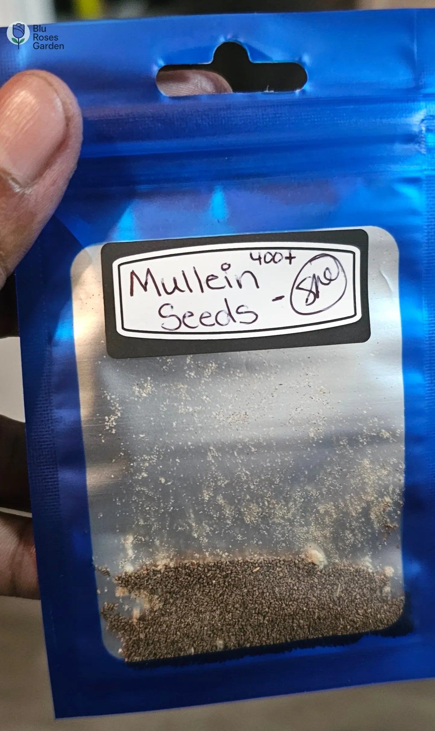 Bulk 100 Seeds Mullein Seed Ornamental Plant Flowering Medicinal jdtbasketman 💙 Blu Rose's Garden LLC 💙
