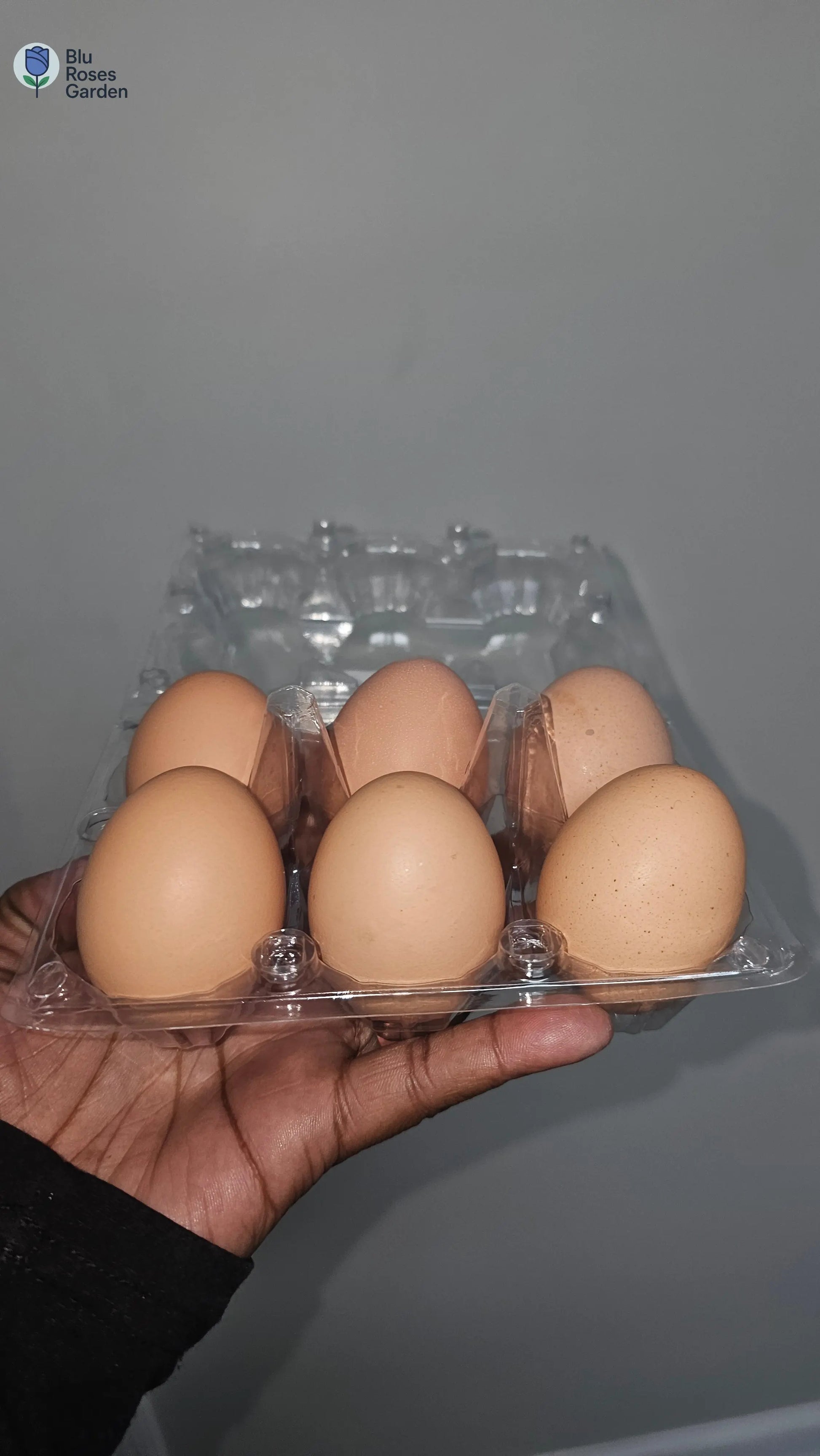 Half Dozen Farm-Fresh Eggs – $3 (Washed or Unwashed) | Local Pickup Only 💙 Blu Rose's Garden LLC 💙 💙 Blu Rose's Garden LLC 💙