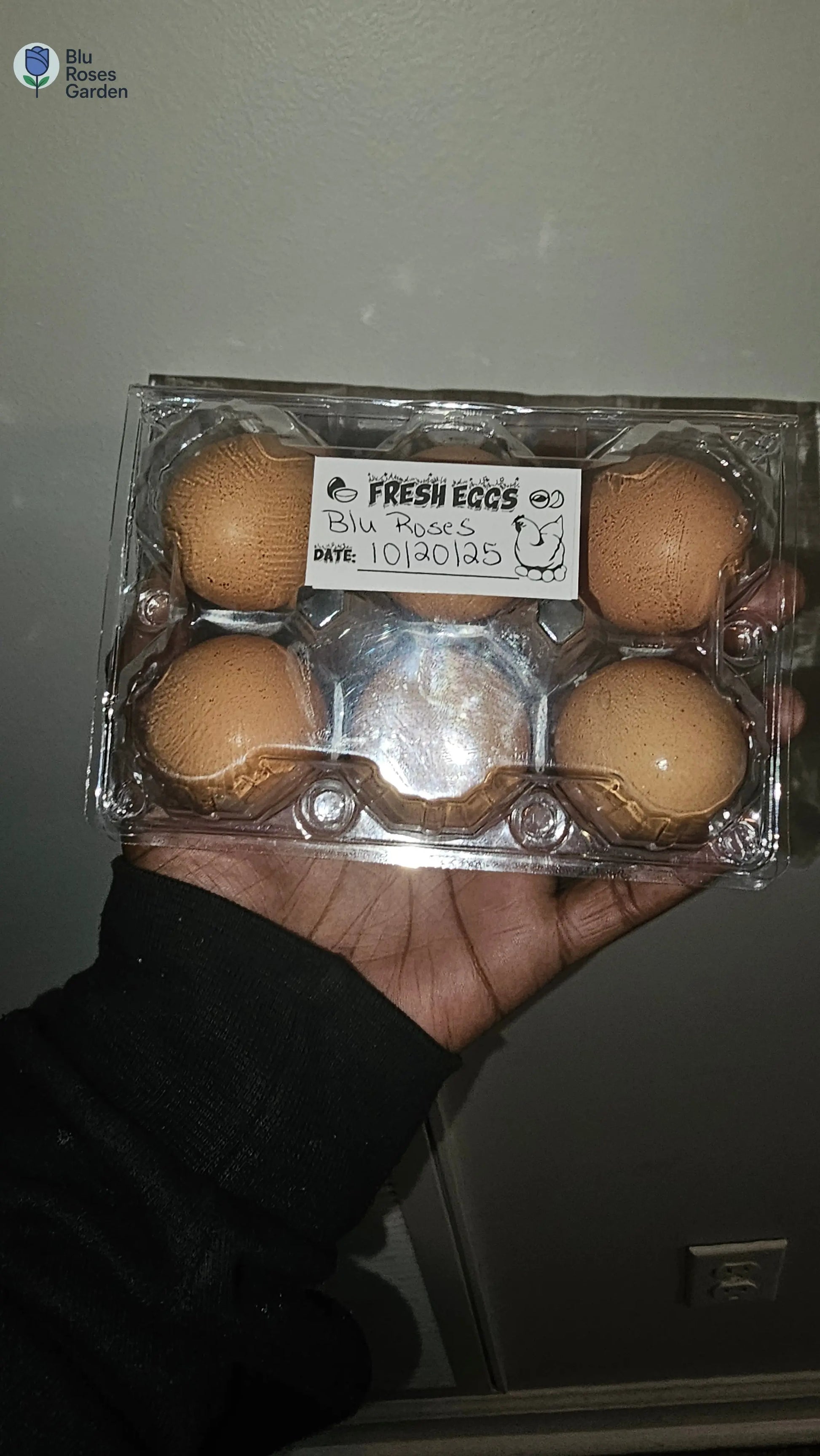 Half Dozen Farm-Fresh Eggs – $3 (Washed or Unwashed) | Local Pickup Only 💙 Blu Rose's Garden LLC 💙 💙 Blu Rose's Garden LLC 💙