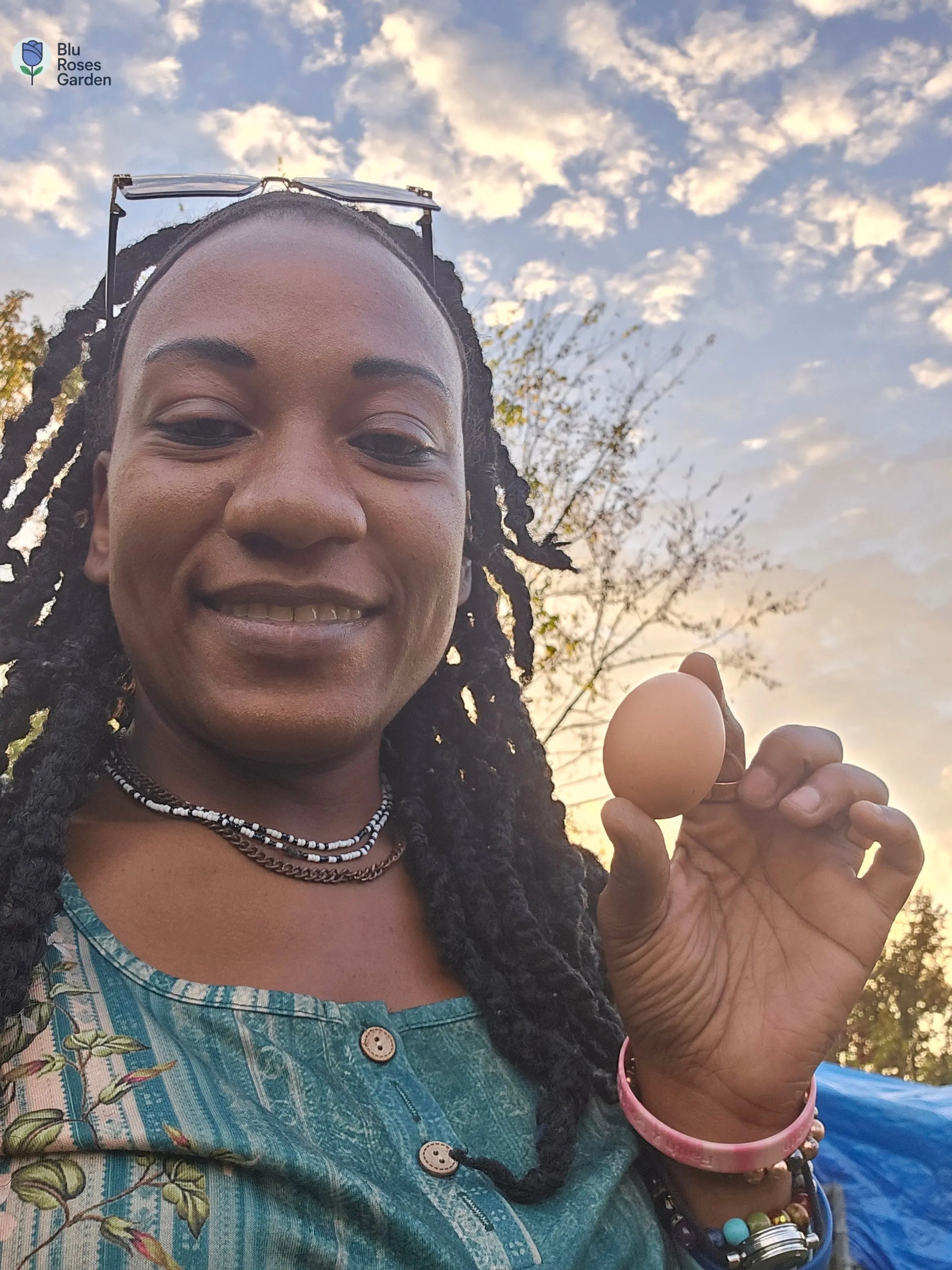 Half Dozen Farm-Fresh Eggs – $3 (Washed or Unwashed) | Local Pickup Only 💙 Blu Rose's Garden LLC 💙 💙 Blu Rose's Garden LLC 💙