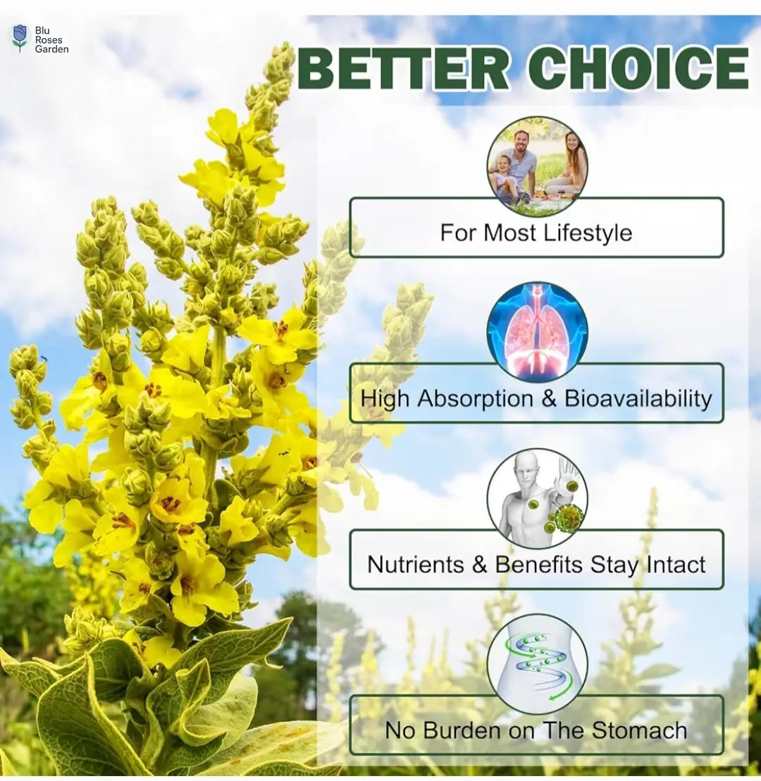 Mullein Gummies - Mullein Leaf Dietary Supplement for Respiratory System, Digestive Support, Immune Booster - Mullein Leaf Extract - 2000Mg, 120 Chewsn 💙 Blu Rose's Garden LLC 💙 💙 Blu Rose's Garden LLC 💙