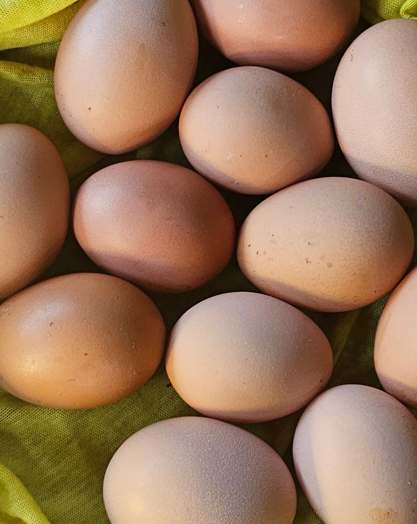 The “Breakthrough” Faith Amulet- Crushed Eggshells 💙 Blu Rose's Garden LLC 💙 💙 Blu Rose's Garden LLC 💙