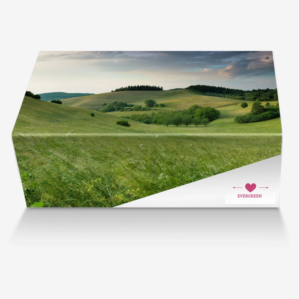 Ever Forward Cheetah Print Italian Leather Sneakers 💙 Blu Rose's Garden LLC 💙 💙 Blu Rose's Garden LLC 💙