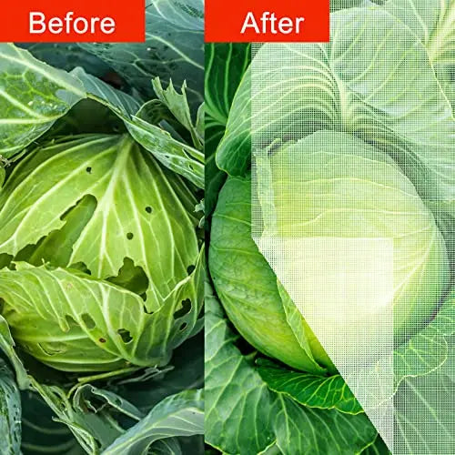 Agfabric Garden Netting 16'x30' Insect Pest Barrier Bird Netting for Garden Protection,Row Cover Mesh Netting for Vegetables Fruit Trees and Plants,White - 💙 Blu Rose's Garden LLC 💙