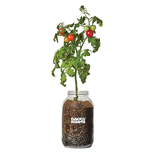 Back to the Roots Cherry Tomato Organic Windowsill Planter Kit - Grows Year Round, Includes Everything Needed For Planting - 💙 Blu Rose's Garden LLC 💙
