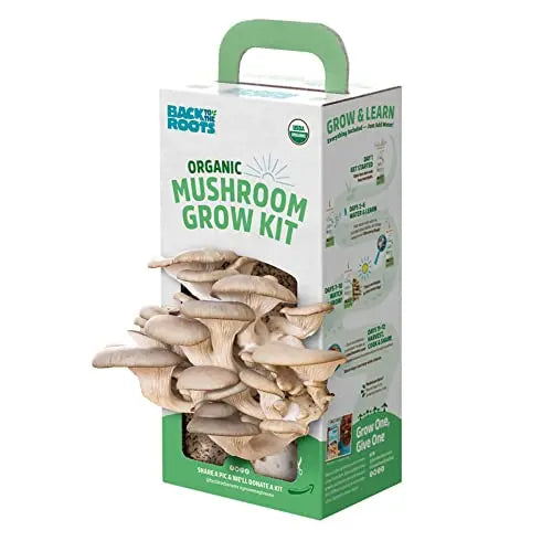 Back to the Roots Organic Oyster Mushroom Grow Kit, Harvest Gourmet Mushrooms In 10 Days - 💙 Blu Rose's Garden LLC 💙