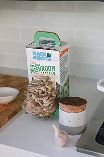 Back to the Roots Organic Oyster Mushroom Grow Kit, Harvest Gourmet Mushrooms In 10 Days - 💙 Blu Rose's Garden LLC 💙
