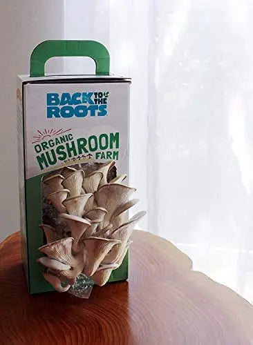 Back to the Roots Organic Oyster Mushroom Grow Kit, Harvest Gourmet Mushrooms In 10 Days - 💙 Blu Rose's Garden LLC 💙