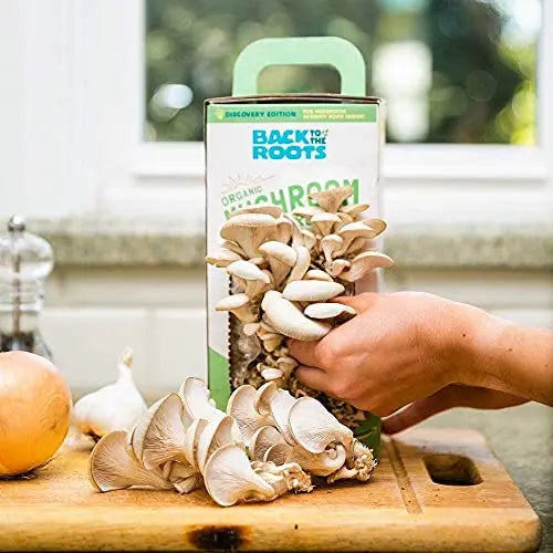 Back to the Roots Organic Oyster Mushroom Grow Kit, Harvest Gourmet Mushrooms In 10 Days - 💙 Blu Rose's Garden LLC 💙