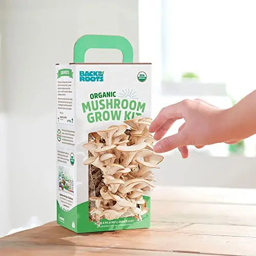 Back to the Roots Organic Oyster Mushroom Grow Kit, Harvest Gourmet Mushrooms In 10 Days - 💙 Blu Rose's Garden LLC 💙