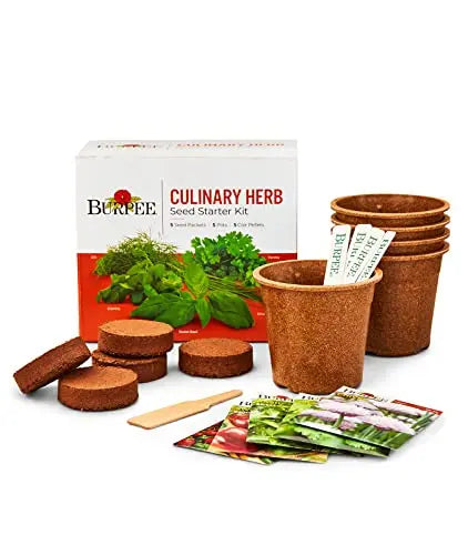 Burpee Culinary Garden Starter Kit Packets, 5 Pots, 5 Coir Pellets & 5 Plant Markers Non-GMO Herb Seeds: Cilantro, Dill, Parsley, Sweet Basil & Chives - 💙 Blu Rose's Garden LLC 💙