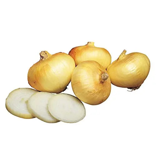 Burpee Granex Yellow Onion Seeds 450 seeds - 💙 Blu Rose's Garden LLC 💙