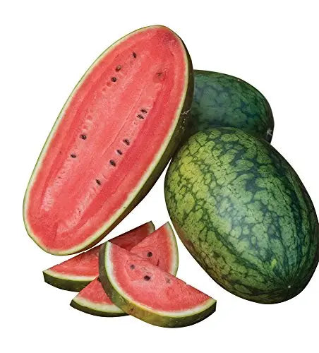 Burpee Mama's Girl Watermelon Seeds 25 seeds - 💙 Blu Rose's Garden LLC 💙