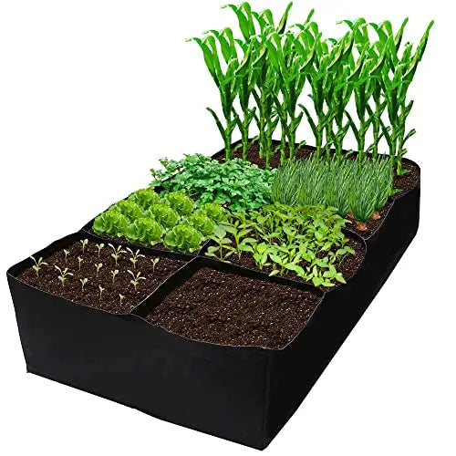 CJGQ Fabric Raised Garden Bed 6x3x1ft Garden Grow Bed Bags for Growing Herbs, Flowers and Vegetables 128 Gallon - 💙 Blu Rose's Garden LLC 💙