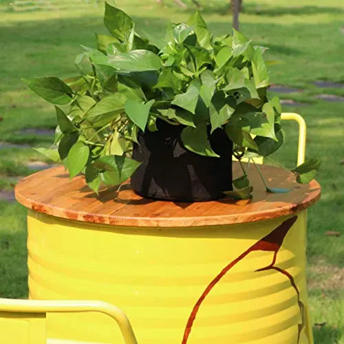 Gardzen 20-Pack 1 Gallon Nonwoven Grow Bags, Aeration Fabric Pots - 💙 Blu Rose's Garden LLC 💙