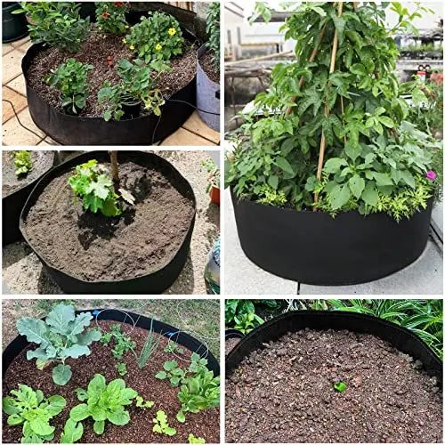 IWNTWY 50 Gallon Large Grow Bag, Heavy Duty Fabric Round Raised Garden Bed Planter Pots for Planting Herb Flower Vegetable Potato Plants (36" D x 12" H, Black) - 💙 Blu Rose's Garden LLC 💙