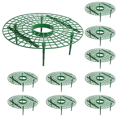Iceyyyy 10 Pack Strawberry Plant Support Strawberry Growing Racks/ Frame (10, A) - 💙 Blu Rose's Garden LLC 💙