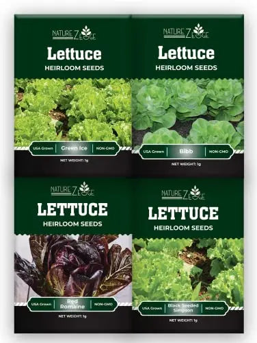 Lettuce Seeds for Planting, Red Romaine Lettuce, Bibb Butter Lettuce, Black Seeded Simpson, Green Ice Iceberg Lettuce, Non-GMO… - 💙 Blu Rose's Garden LLC 💙