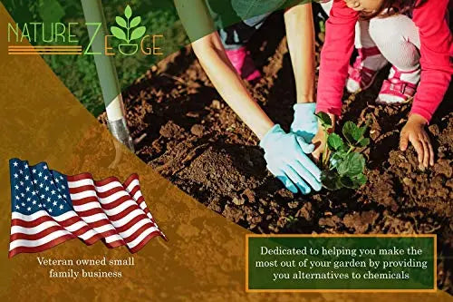 Lettuce Seeds for Planting, Red Romaine Lettuce, Bibb Butter Lettuce, Black Seeded Simpson, Green Ice Iceberg Lettuce, Non-GMO… - 💙 Blu Rose's Garden LLC 💙