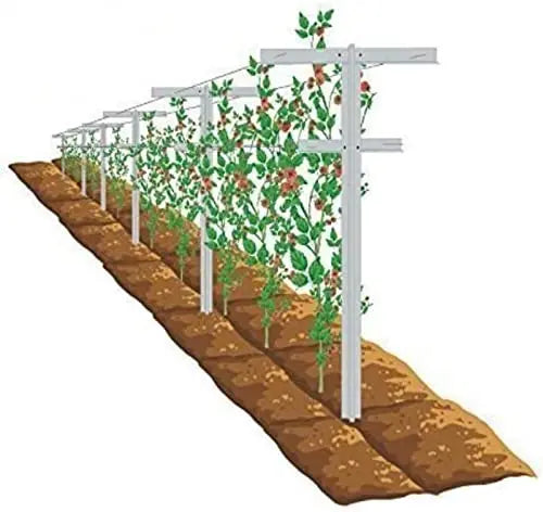 MRGARDEN 7-Feet Adjustable Garden Trellis Set for Raspberry and Climbing Plants, Outdoor Stake Vineyard Trellis, Pack of 2 - 💙 Blu Rose's Garden LLC 💙