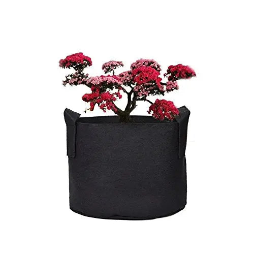 Ming Wei Garden Plant Bags / 6-Packs 5 Gallon Grow Bags/Aeration Fabric Pots/Handles (Black) - 💙 Blu Rose's Garden LLC 💙