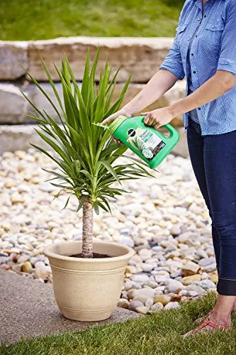 Miracle-Gro Shake 'N Feed Palm Plant Food, 4.5 lb., Feeds up to 3 Months - 💙 Blu Rose's Garden LLC 💙