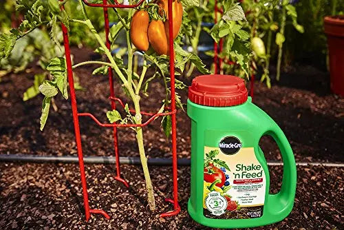 Miracle-Gro Shake 'N Feed Tomato, Fruit & Vegetable Plant Food, Plant Fertilizer, 4.5 lbs. - 💙 Blu Rose's Garden LLC 💙