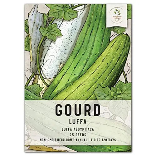Seed Needs, Loofah/Luffa Gourd Seeds for Planting (Luffa aegyptiaca) Heirloom, Non-GMO & Untreated - Grow Your Own Sponges (1 Pack) - 💙 Blu Rose's Garden LLC 💙