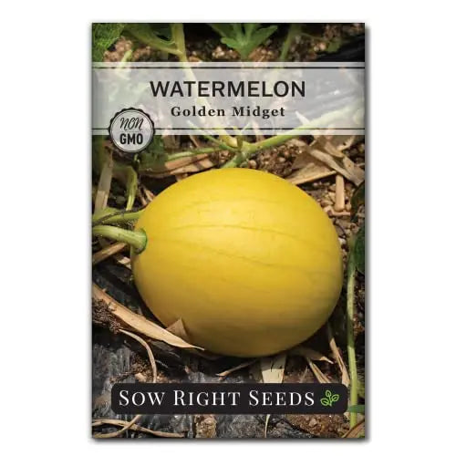 Sow Right Seeds - Golden Midget Watermelon Seed for Planting - Non-GMO Heirloom Packet with Instructions to Grow an Outdoor Home Vegetable Garden - Yellow Skin and Crimson Flesh - Great Gift - 💙 Blu Rose's Garden LLC 💙