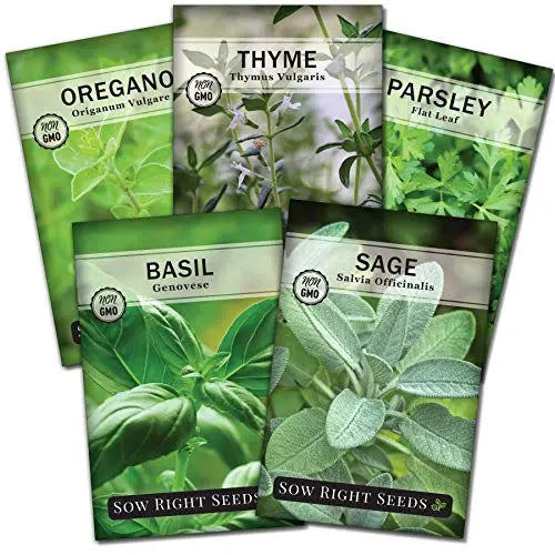 Sow Right Seeds - Italian Herb Garden Seed Collection - Individual Packets of Sweet Basil, Oregano, Parsley, Sage, and Thyme to Plant - Non GMO Heirloom with Instructions for Planting - 💙 Blu Rose's Garden LLC 💙