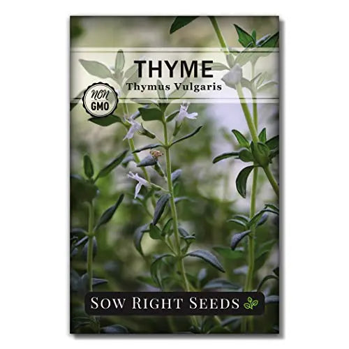 Sow Right Seeds - Italian Herb Garden Seed Collection - Individual Packets of Sweet Basil, Oregano, Parsley, Sage, and Thyme to Plant - Non GMO Heirloom with Instructions for Planting - 💙 Blu Rose's Garden LLC 💙