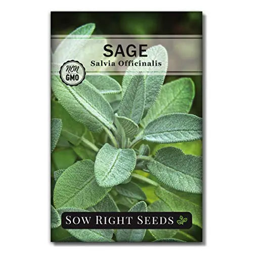 Sow Right Seeds - Italian Herb Garden Seed Collection - Individual Packets of Sweet Basil, Oregano, Parsley, Sage, and Thyme to Plant - Non GMO Heirloom with Instructions for Planting - 💙 Blu Rose's Garden LLC 💙