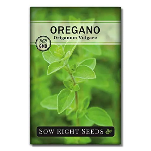 Sow Right Seeds - Italian Herb Garden Seed Collection - Individual Packets of Sweet Basil, Oregano, Parsley, Sage, and Thyme to Plant - Non GMO Heirloom with Instructions for Planting - 💙 Blu Rose's Garden LLC 💙