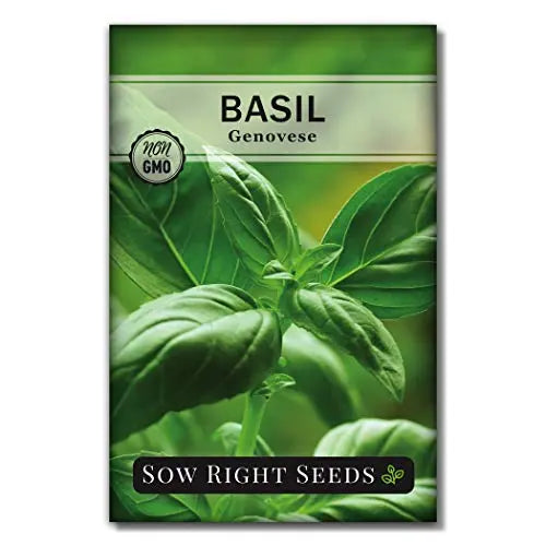 Sow Right Seeds - Italian Herb Garden Seed Collection - Individual Packets of Sweet Basil, Oregano, Parsley, Sage, and Thyme to Plant - Non GMO Heirloom with Instructions for Planting - 💙 Blu Rose's Garden LLC 💙