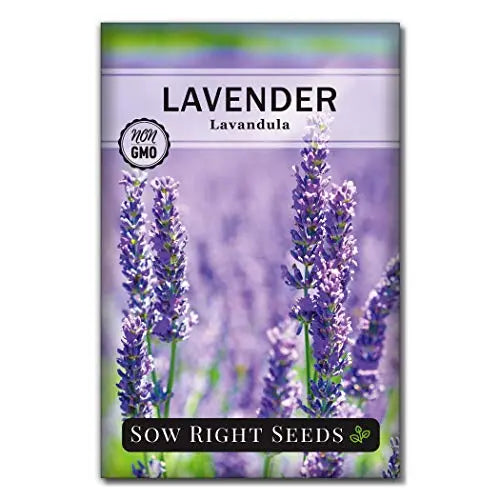 Sow Right Seeds - Lavender Seeds for Planting; Non-GMO Heirloom Seeds with Instructions to Plant and Grow a Beautiful Indoor or Outdoor herb Garden; Great Gardening Gift - 💙 Blu Rose's Garden LLC 💙