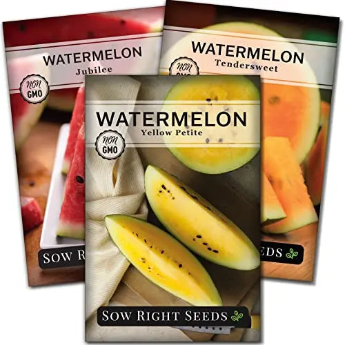 Sow Right Seeds - Tri-Color Watermelon Seed Collection for Planting - Red Jubilee, Yellow Petite and Orange Tendersweet Watermelons. Non-GMO Heirloom Seeds to Plant a Home Vegetable Garden - 💙 Blu Rose's Garden LLC 💙