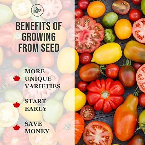 Sow Right Seeds - Yellow Crimson Sweet Watermelon Seed for Planting - Non-GMO Heirloom Packet with Instructions to Plant a Home Vegetable Garden - Great Gardening Gift (1) - 💙 Blu Rose's Garden LLC 💙