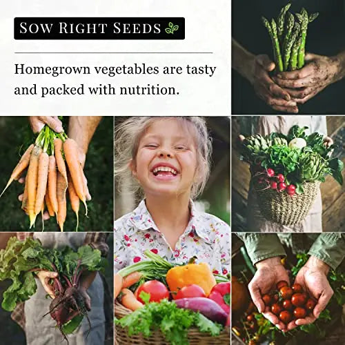 Sow Right Seeds - Yellow Crimson Sweet Watermelon Seed for Planting - Non-GMO Heirloom Packet with Instructions to Plant a Home Vegetable Garden - Great Gardening Gift (1) - 💙 Blu Rose's Garden LLC 💙