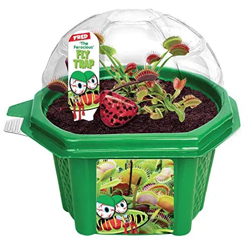 Toys By Nature Venus Fly Trap - Fun and Easy to Grow Kids Terrarium Set - Grow Bug Eating Plants - Complete Carnivorous Plant Kit - 💙 Blu Rose's Garden LLC 💙