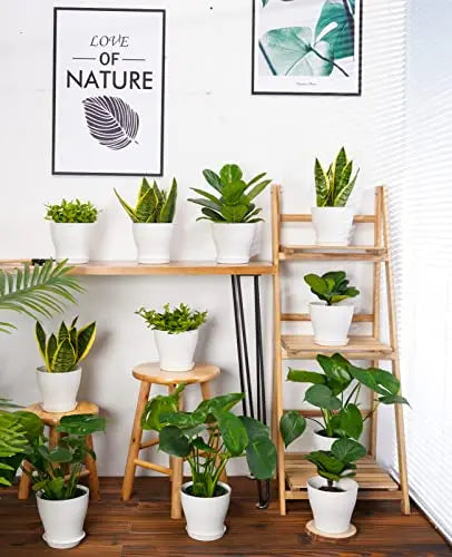 homenote Plant Pots, Set of 15 Plastic Planters with Multiple Drainage Holes and Tray 6 inch Indoor Plant Pot for All Home Garden Flowers Succulents (White) - 💙 Blu Rose's Garden LLC 💙