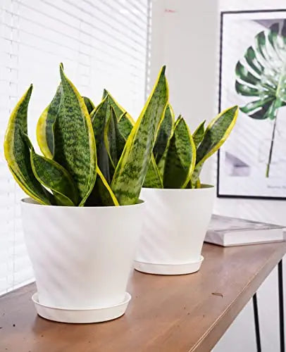 homenote Plant Pots, Set of 15 Plastic Planters with Multiple Drainage Holes and Tray 6 inch Indoor Plant Pot for All Home Garden Flowers Succulents (White) - 💙 Blu Rose's Garden LLC 💙
