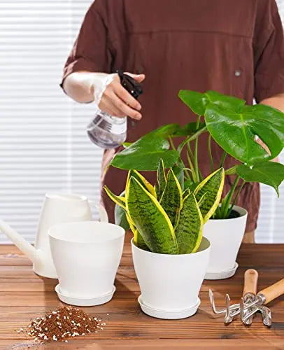 homenote Plant Pots, Set of 15 Plastic Planters with Multiple Drainage Holes and Tray 6 inch Indoor Plant Pot for All Home Garden Flowers Succulents (White) - 💙 Blu Rose's Garden LLC 💙